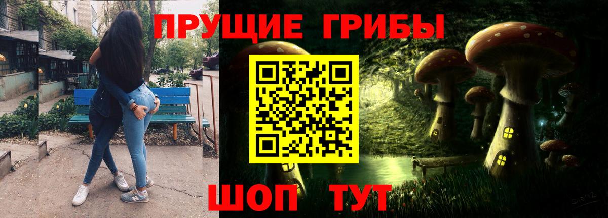 Галлюциногенные грибы Psilocybe Соль-Илецк