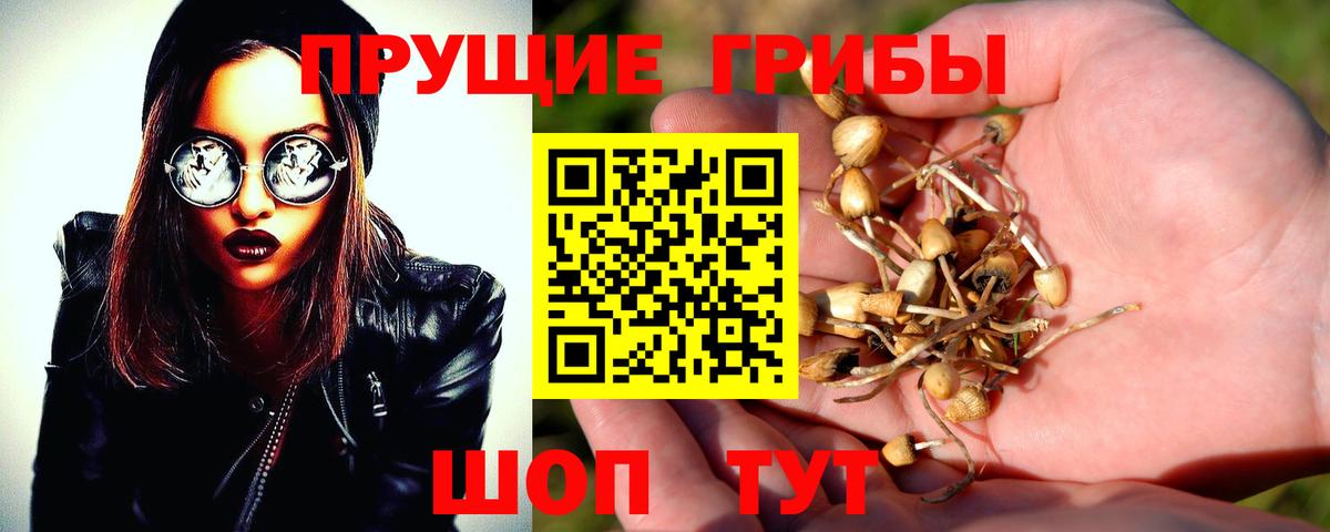 Псилоцибиновые грибы Cubensis  Вход с VPN  Соль-Илецк  Псилоцибиновые грибы мухоморы 